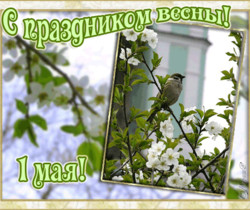С праздником весны 1 мая - 1 Мая День Весны и Труда
