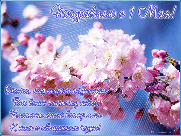 Поздравление с 1 мая в стихах - 1 Мая День Весны и Труда, gif скачать бесплатно