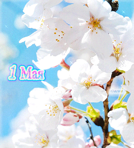 Картинка с 1 мая весенняя - 1 Мая День Весны и Труда, gif скачать бесплатно