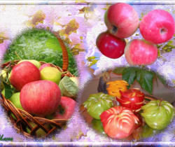 Открытки с яблочным спасом - Яблочный Спас Преображение Господне