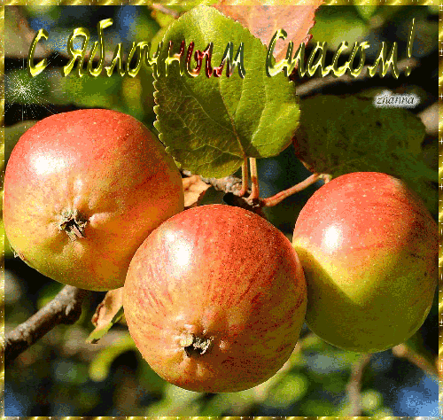 Яблоки на Яблочный спас - Яблочный Спас Преображение Господне, gif скачать бесплатно