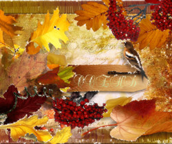 Осенние листья - Осенние картинки