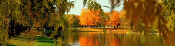 Осень - красивая пора - Осенние картинки, gif скачать бесплатно