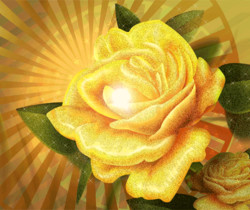 Роза желтая - Открытки с розами
