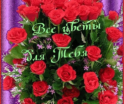Красивый букет роз - Открытки с розами