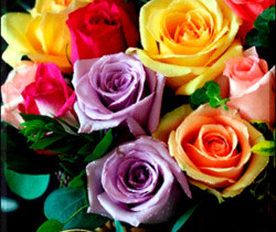 Розы в корзине для тебя - Открытки с розами