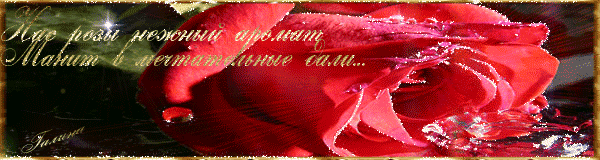 Нежный аромат розы - Открытки с розами, gif скачать бесплатно