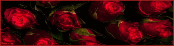 Бархатные розы - Открытки с розами, gif скачать бесплатно