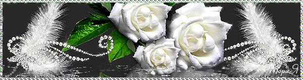 Нежность белых роз - Открытки с розами, gif скачать бесплатно