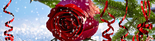 Новогодняя роза - Открытки с розами, gif скачать бесплатно