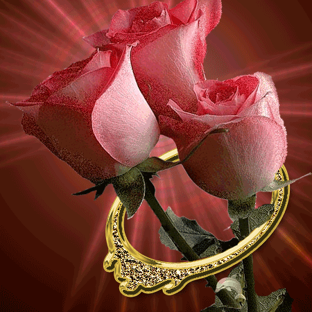 Розовая роза - Открытки с розами, gif скачать бесплатно