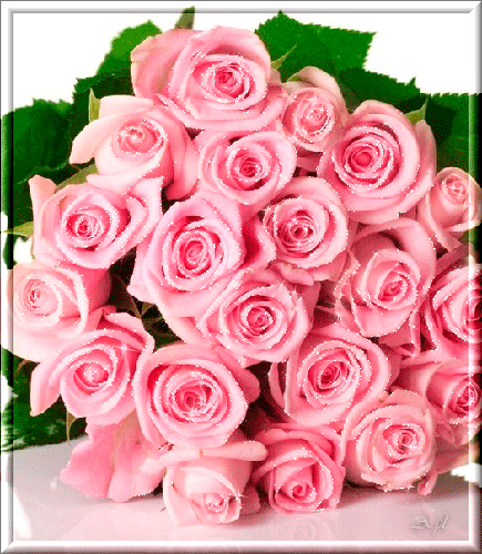 Розовые розы картинки - Открытки с розами, gif скачать бесплатно