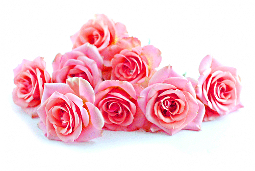 Розы - Открытки с розами, gif скачать бесплатно