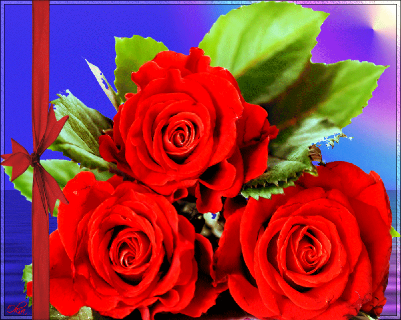 Красные розы - Открытки с розами, gif скачать бесплатно