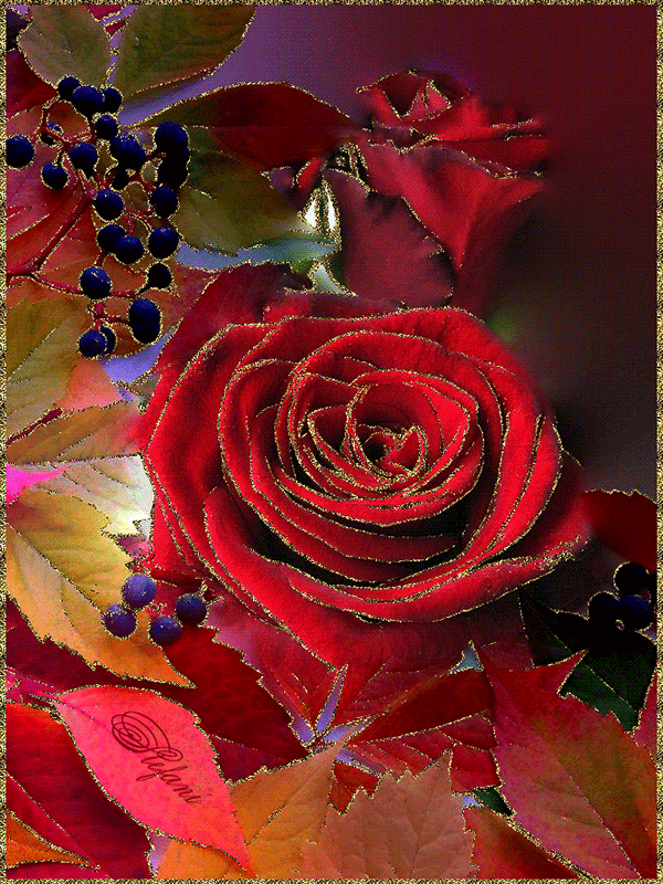 Осенняя роза - Открытки с розами, gif скачать бесплатно