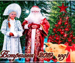 Красивая открытка с годом Свиньи новогодняя - C Новым годом 2024 картинки