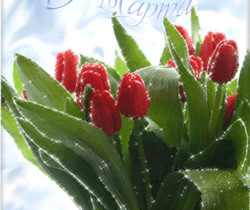 8 Марта открытка с тюльпанами - 8 Марта