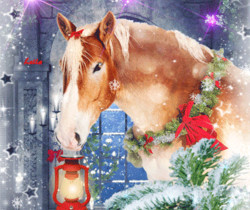 Красивая рождественская открытка с лошадью - Рождество