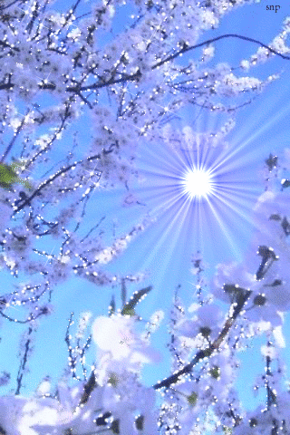 Весеннее солнце - Весенние картинки, gif скачать бесплатно
