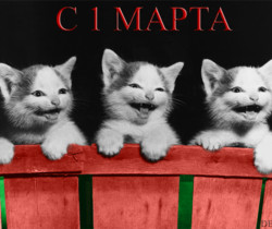 С 1 Марта - 1 Марта – День кошек
