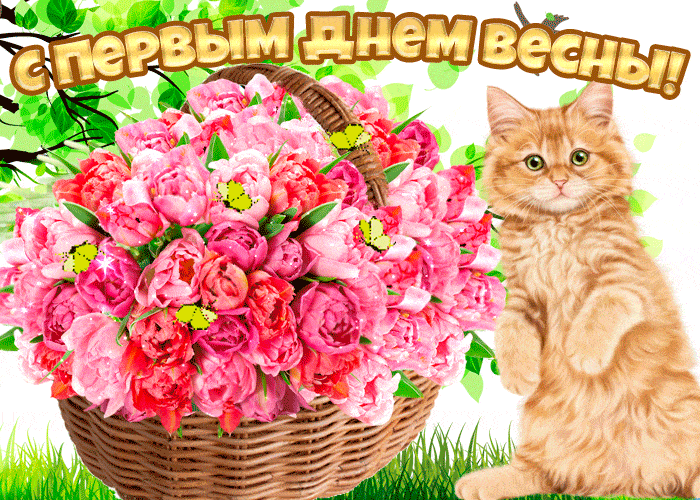 В первый день весны, корзина цветов - 1 Марта – День кошек, gif скачать бесплатно