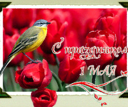 С праздником 1 мая! - 1 Мая День Весны и Труда