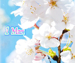 Картинка с 1 мая весенняя - 1 Мая День Весны и Труда