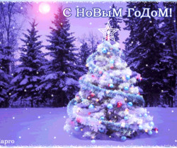 Новогодняя елка символ новогоднего праздника - Новогодние