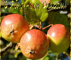 Яблоки на Яблочный спас - Яблочный Спас Преображение Господне