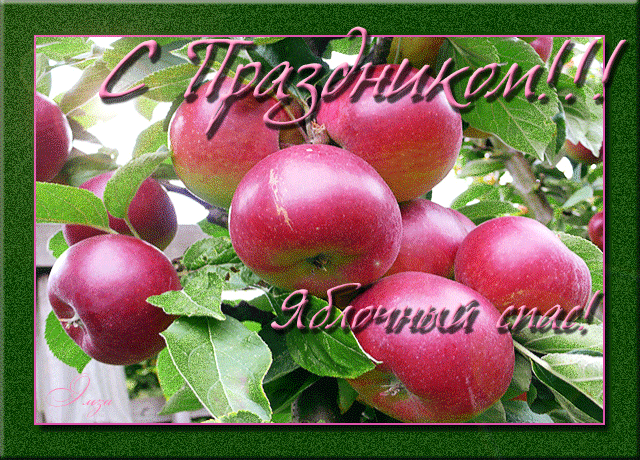 Яблочный спас - Яблочный Спас Преображение Господне, gif скачать бесплатно