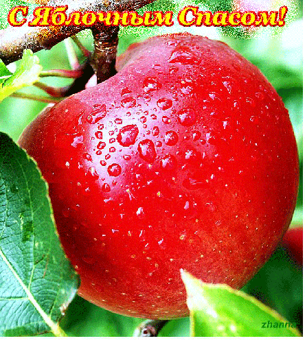 Яблочный Спас картинки - Яблочный Спас Преображение Господне, gif скачать бесплатно