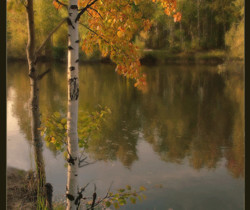 Фото золотой осени - Осенние картинки