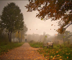 Осенний листопад в парке - Осенние картинки