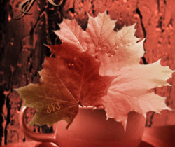 Осень - Осенние картинки
