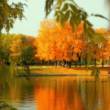 Осень - красивая пора - Осенние картинки