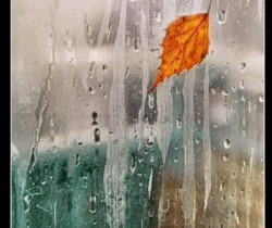 Кали осеннего дождя - Осенние картинки