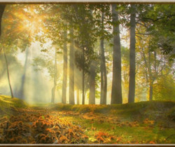 Осенний лес - Осенние картинки