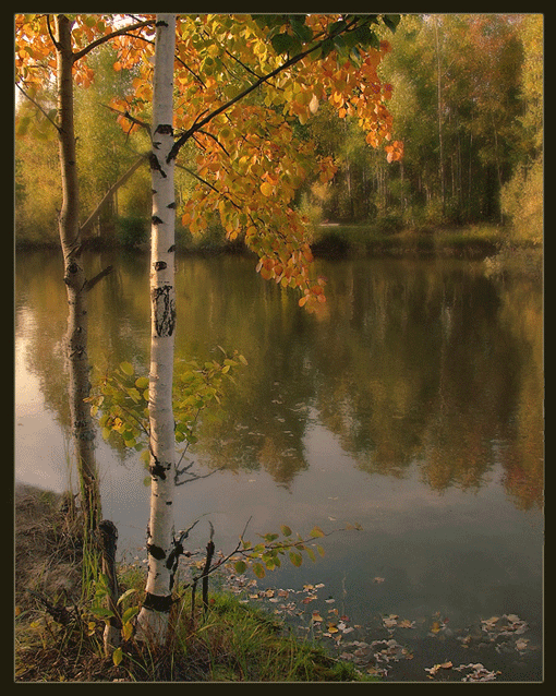 Фото золотой осени - Осенние картинки, gif скачать бесплатно