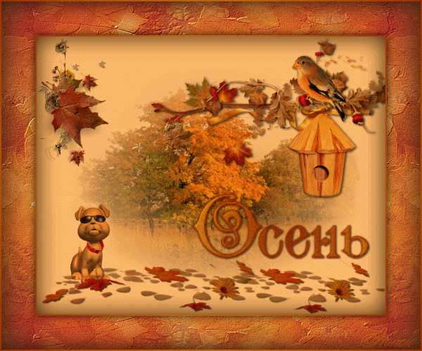 Осень картинки для детей - Осенние картинки, gif скачать бесплатно