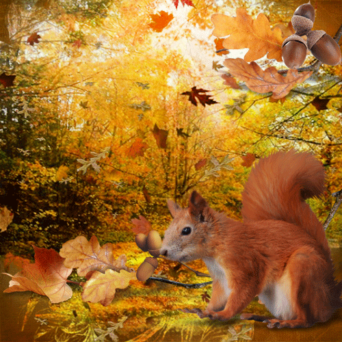 Белка в осеннем лесу - Осенние картинки, gif скачать бесплатно