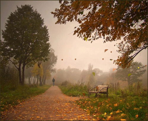 Осенний листопад в парке - Осенние картинки, gif скачать бесплатно