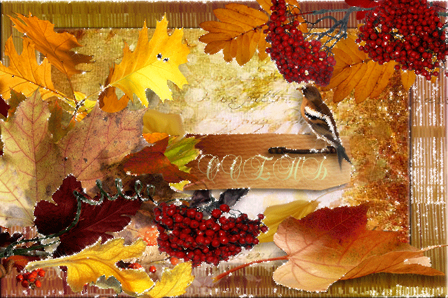 Осенние листья - Осенние картинки, gif скачать бесплатно
