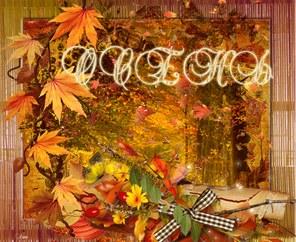 Краски осени - Осенние картинки, gif скачать бесплатно