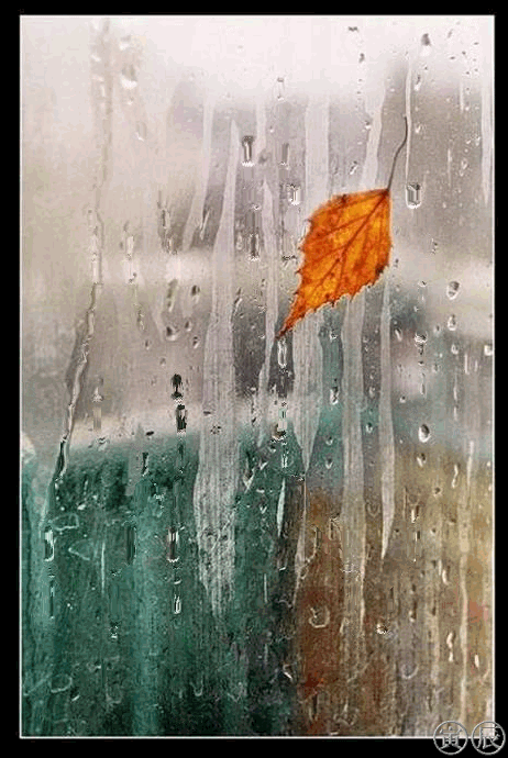 Кали осеннего дождя - Осенние картинки, gif скачать бесплатно