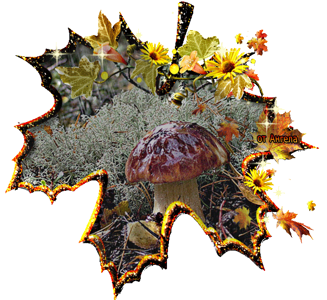Осенний гриб - Осенние картинки, gif скачать бесплатно