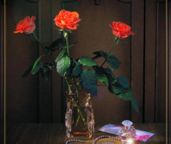 Анимация красных роз - Открытки с розами