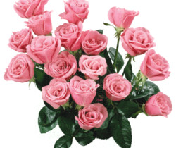 Букет розовых роз - Открытки с розами