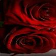 Драгоценные розы - Открытки с розами