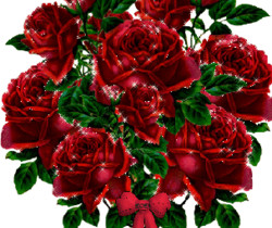 Букет бордовых роз - Открытки с розами