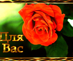Роза для Вас - Открытки с розами